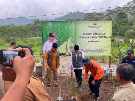 Penanaman Rumput Vetiver oleh Bapak Bupati Trenggalek 